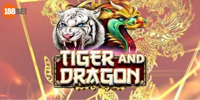 Thông tin cơ bản về cá cược Bài Rồng Hổ Online.
