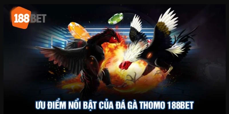 Một cái nhìn tổng quan về đá gà tại 188BET với những trải nghiệm đỉnh cao.