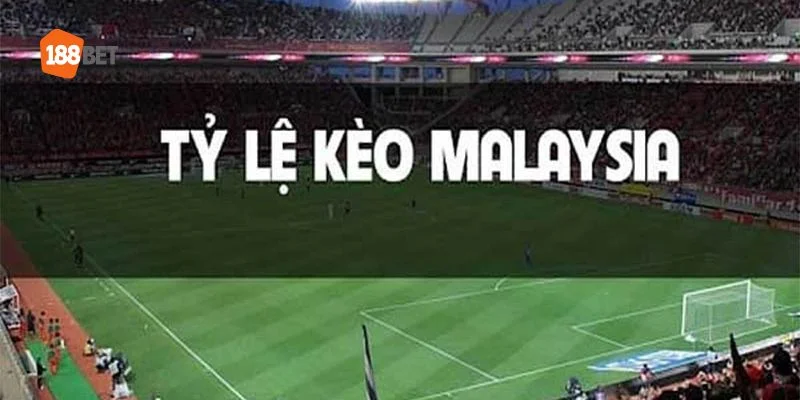 Tỷ lệ cược Malaysia được tính toán theo dạng dương - âm.